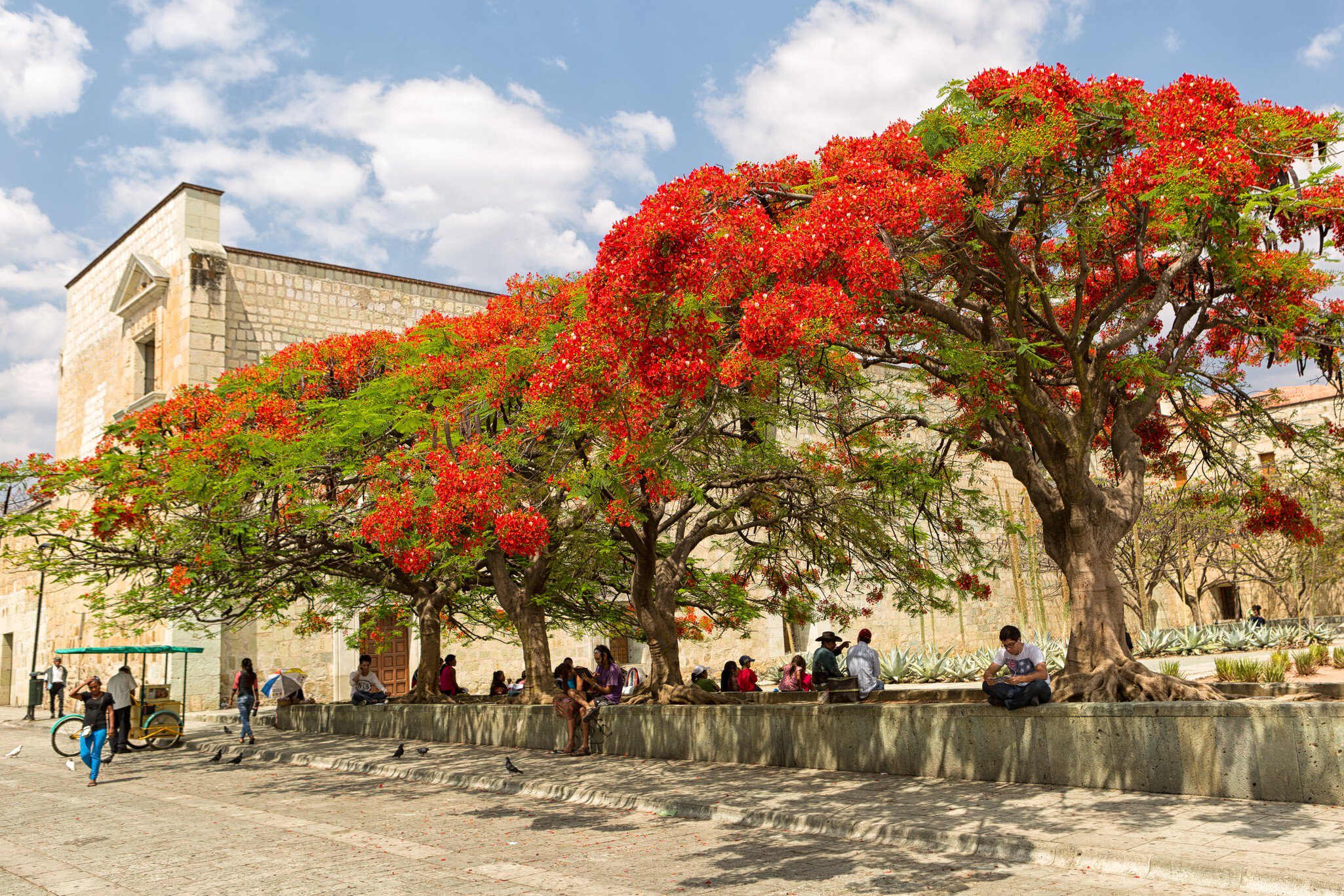 Welcome to Offseason Travel